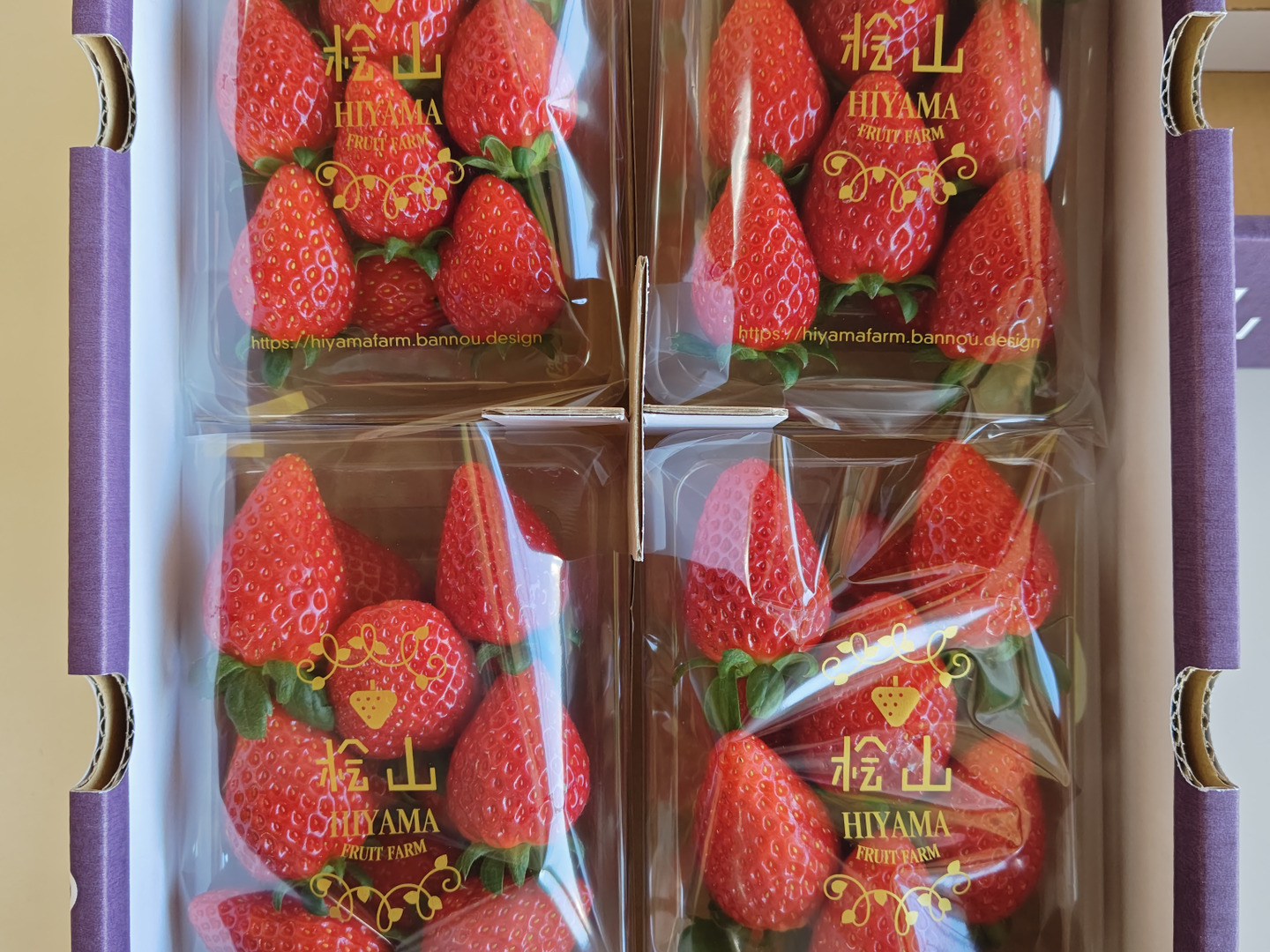 茨城県オリジナル品種 4パック×1箱【いばらキッス】：茨城県産の