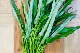 空心菜の通販｜その他葉物野菜｜食べチョク｜産地直送(産直)お取り寄せ