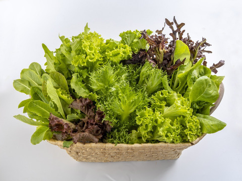 JGAP認証野菜】伊勢志摩の恵み！水耕栽培おまかせ野菜セット！おかげ