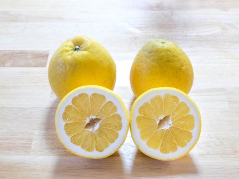 2026年河内晩柑！今なら20％増量中】爽やかジューシー果実！家庭用3