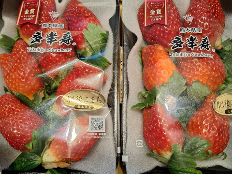 🥇いちごグランプリ2025金賞受賞！超希少品種！『肥後こまち』ご家庭用