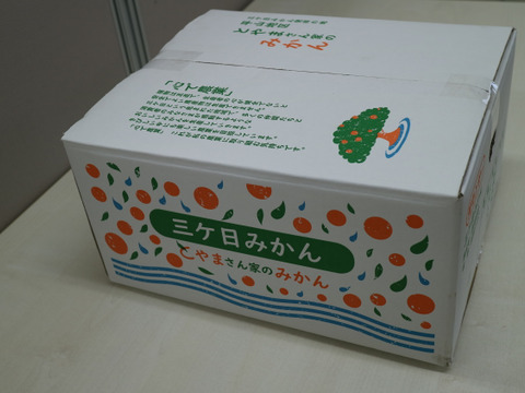 極旨プレミアム！三ヶ日早生みかん5㎏『糖度12度以上』光センサー選果