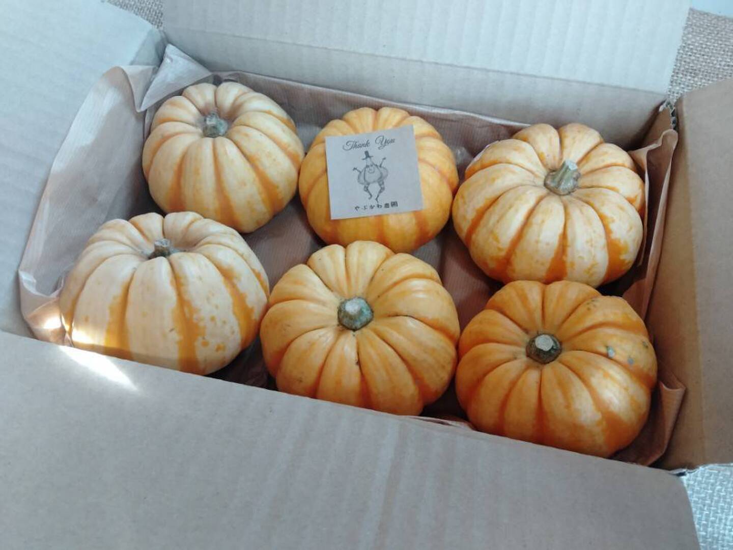 5cdaa685d536ed82a97adc8e40cbd5