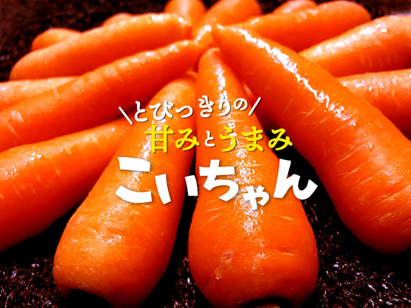 5c9020bce8f87c499affd82d6f51d9