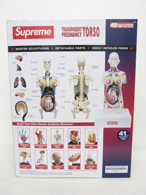 シュプリーム SUPREME 18AW Female Anatomy Model 人体模型 ヒューマン