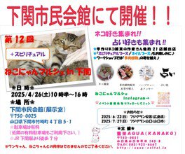 ねこにゃんマルシェin下関 - ゴールデンウィーク 2025 - ウォーカープラス
