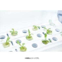 ヨドバシ.com - 沖縄セルラーアグリ&マルシェ IoT水耕栽培キット