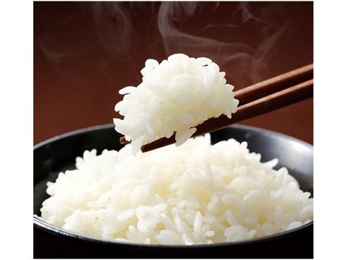 ヨドバシ.com - 東芝 TOSHIBA 角皿式スチームオーブンレンジ 石窯