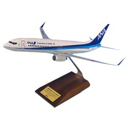 ヨドバシ.com - 全日空商事 NH11002 737-800 JA74AN ギアなし [1/100