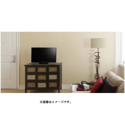 ヨドバシ.com - ソニー SONY BRAVIA(ブラビア) W450Eシリーズ 24V型