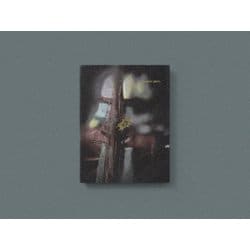 ヨドバシ.com - 永遠深夜万博「名巧は愚なるが如し」 [Blu-ray Disc