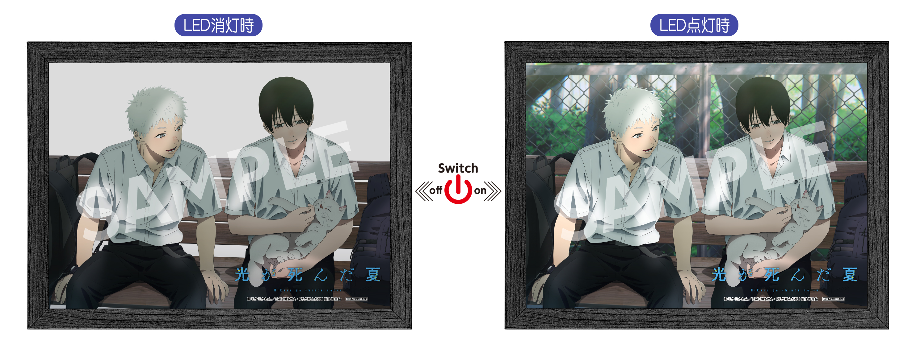 楽天ブックス: 【楽天ブックス限定全巻購入特典+先着特典】光が死んだ