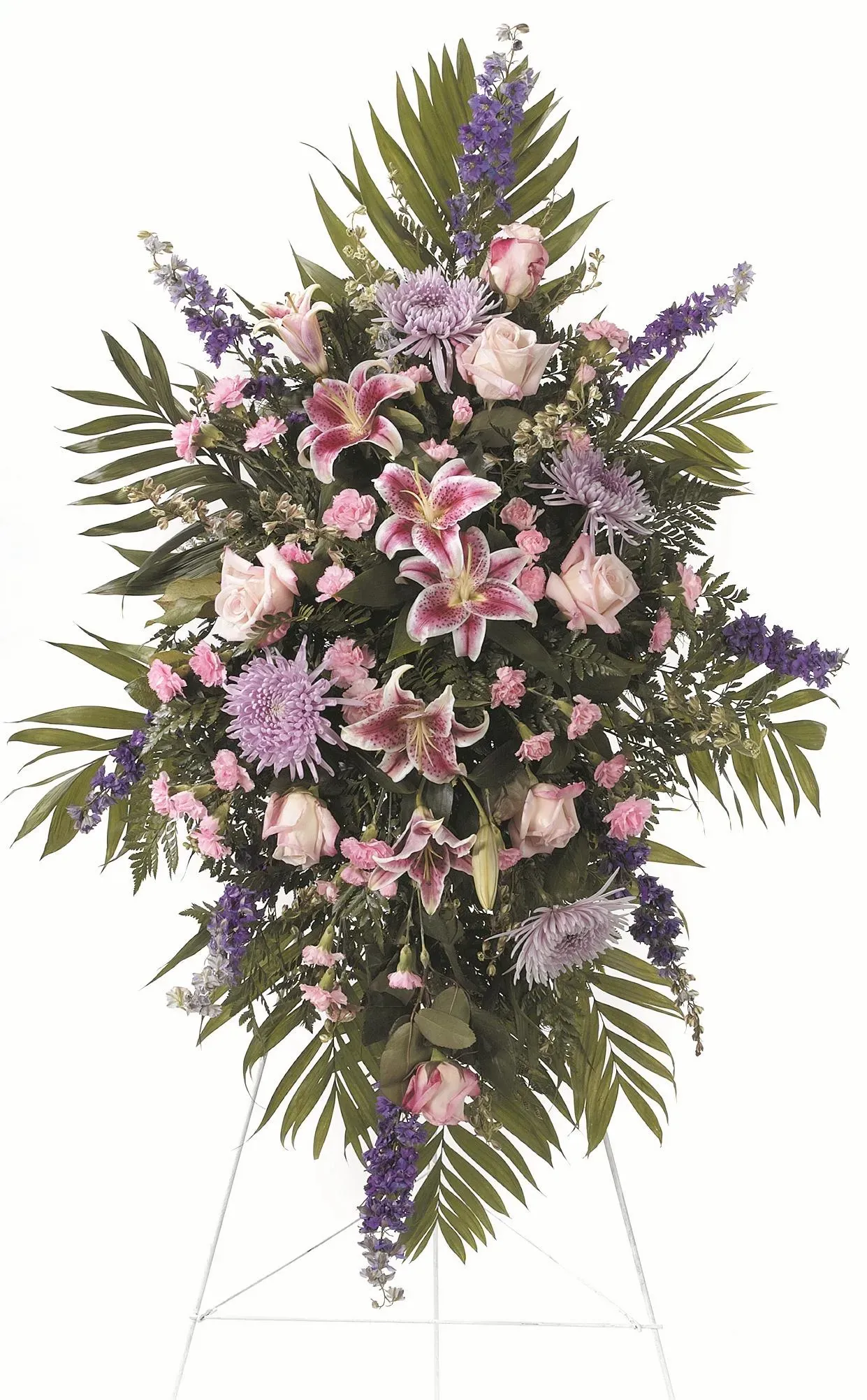 ctt60-11_crop_1.jpg.webp?h=700