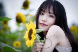 ひまわり（8） | GANREF