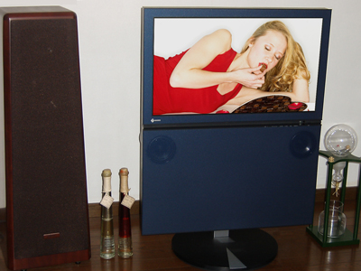 実”をともなうスタイリッシュボディにデジタルチューナーまで内蔵