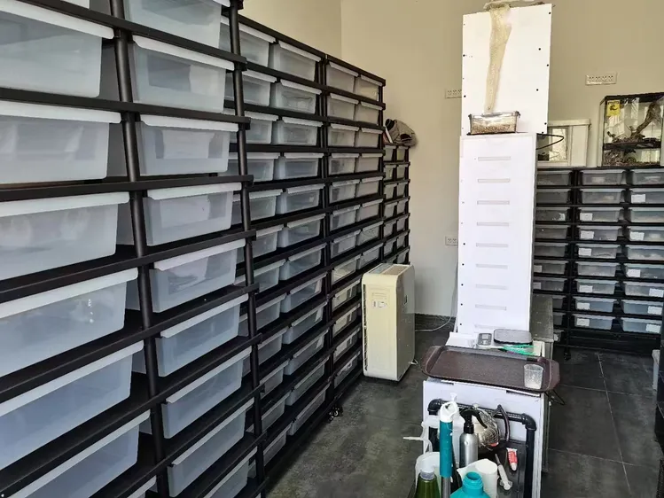 爬虫類用ヘビラック、ヘビ繁殖ラック、プラスチック製PPタブ、金属製