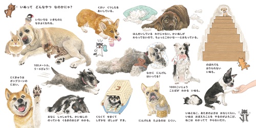 いぬのずかん – 丸善ジュンク堂書店ネットストア