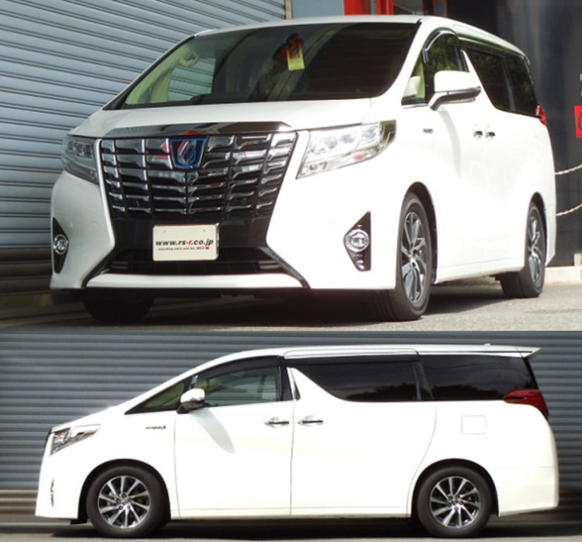 RS-R - Ti2000 Down Springs - Nengun Performance