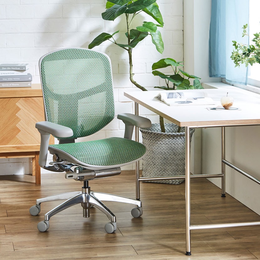 送料無料】 エルゴヒューマン エンジョイ2 Ergohuman ENJOY2 ロー