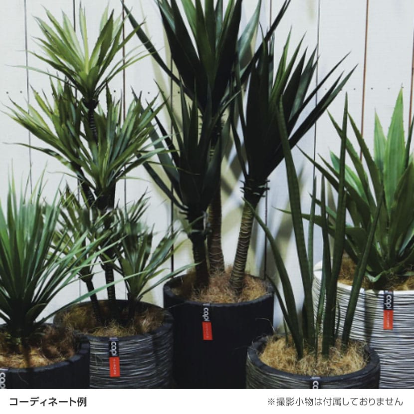 送料無料】 観葉植物 人工樹木 フェイクグリーン 造花 ユッカ