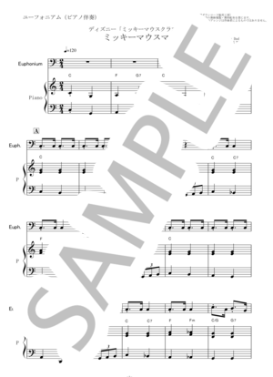 楽譜】 世界に一つだけの花 / 槇原 敬之 (フルート / その他