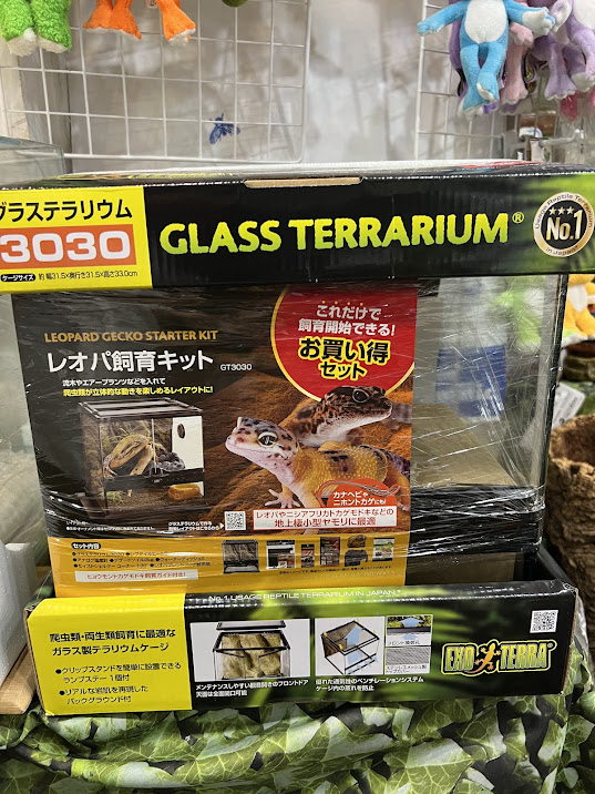 ゲッコー飼育キット GT3045 | ワイルドスカイ通販