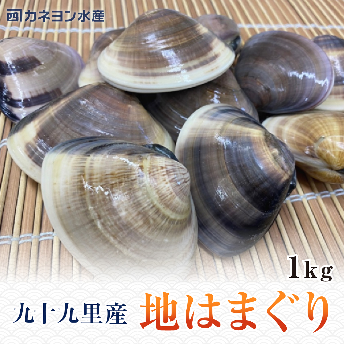 九十九里地はまぐり 1キロ | カネヨン水産ONLINE