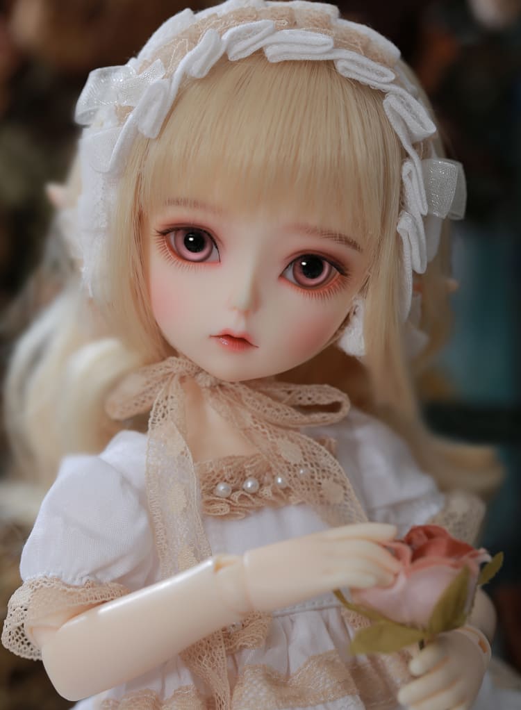 楽天市場】ドール本体 球体関節人形 女の子 Noia フルセット 本体 服