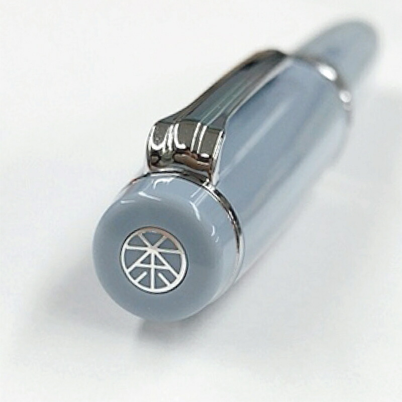 梅田茶屋町店10周年 限定万年筆 チャスカブルーシルバー プロギア