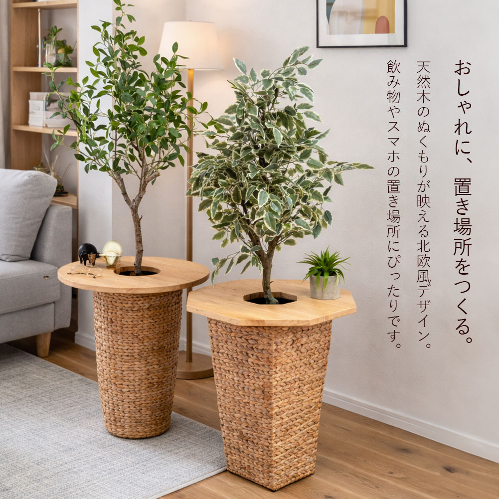 楽天市場】＼スーパーSALE 割引商品／ [90日間交換保証] プランター