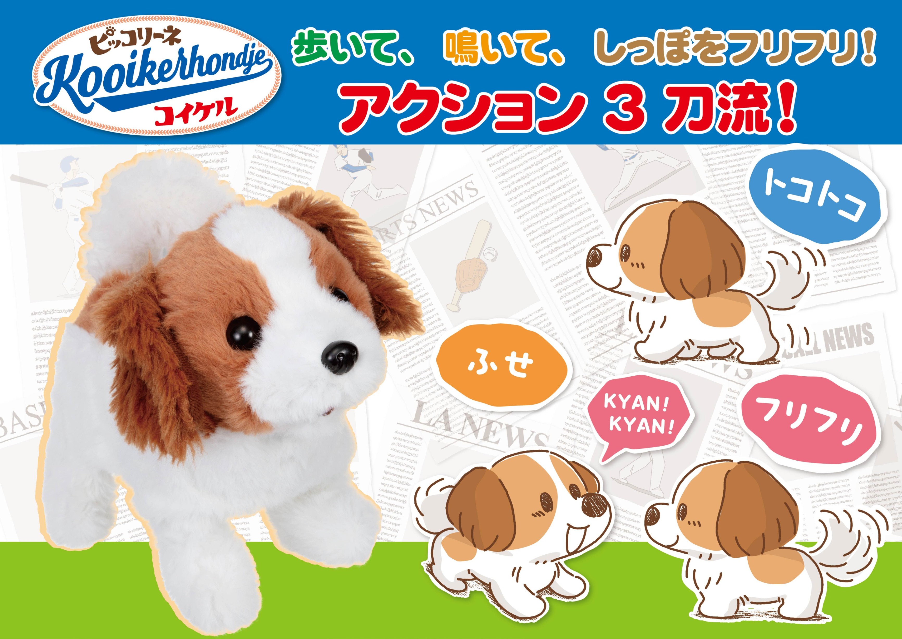 楽天市場】【3/5 最大100％ポイントバック＆ポイントアップ】イワヤ