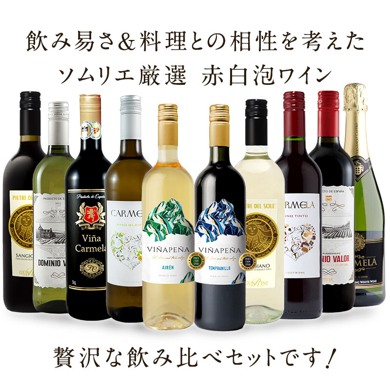 ソムリエ厳選 赤白泡 MIX 10本 ワインセット [W] [WT67]［常温］【4～5