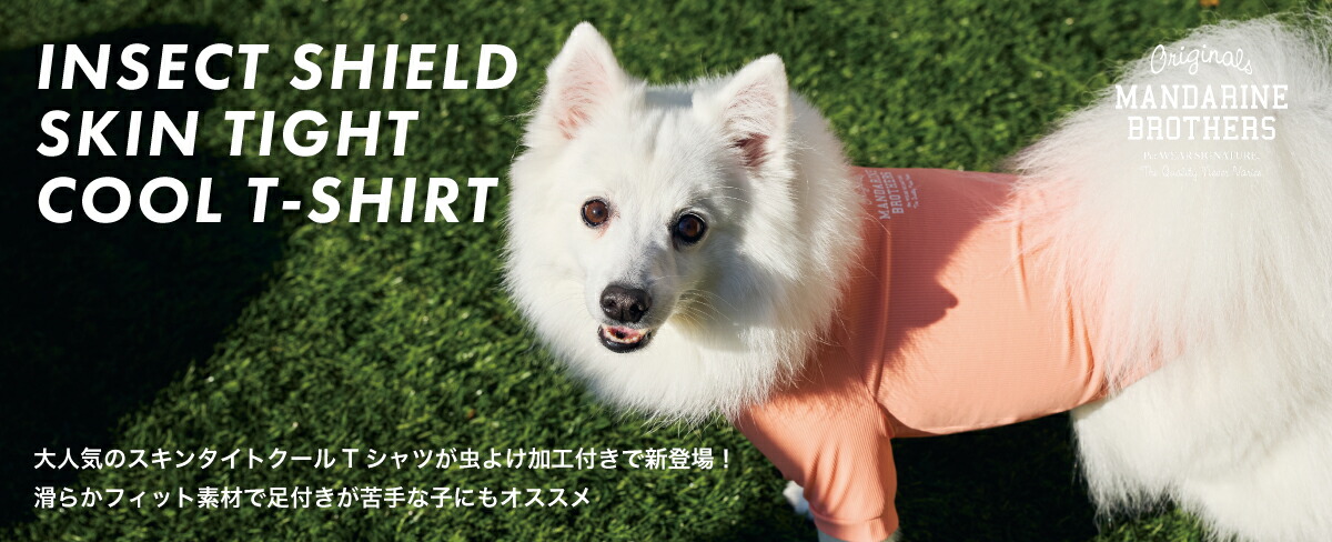 2026年春夏新作第一弾が入荷しました🐶