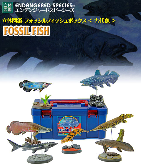 楽天市場】動物 リアル フィギュア 立体図鑑フォッシルフィッシュ