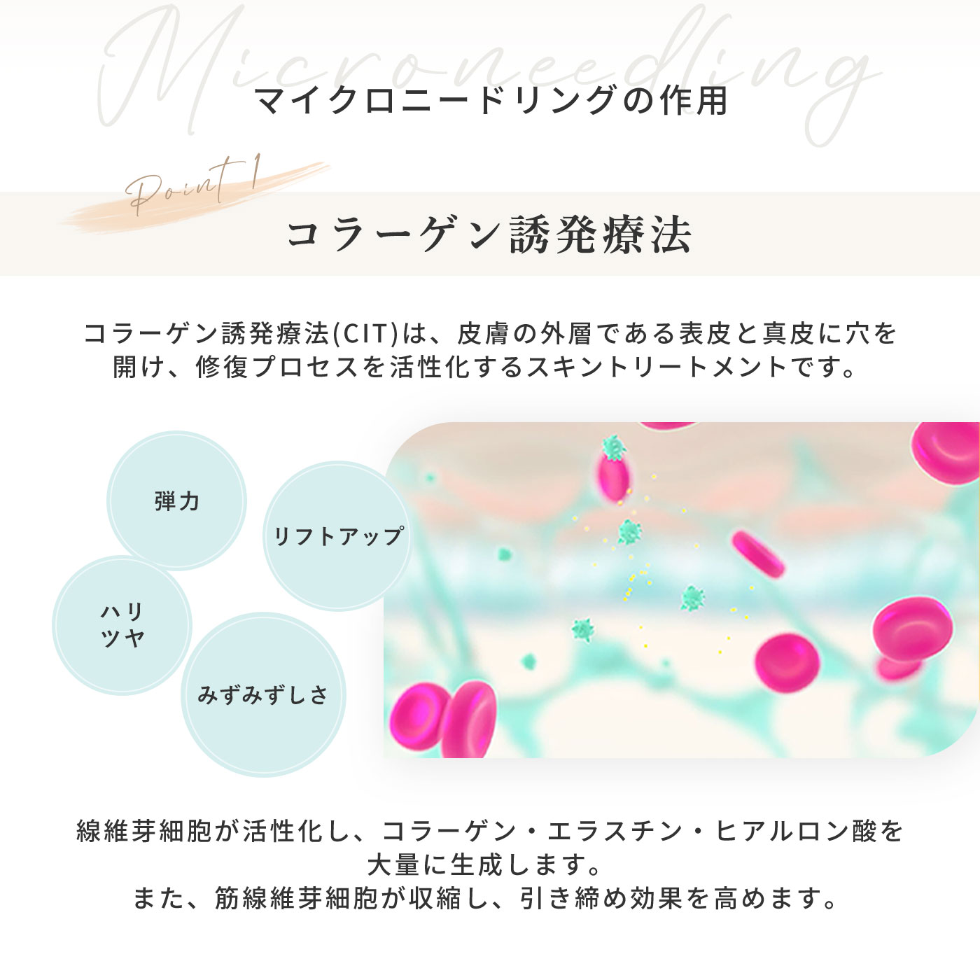 楽天市場】【医療機器】ダーマローラー HC902 顔 首 デコルテ 頭皮