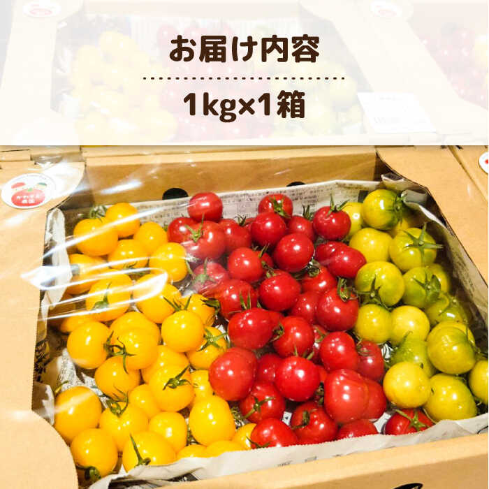 楽天市場】【ふるさと納税】【カラフル】ミニトマト （ プチぷよ