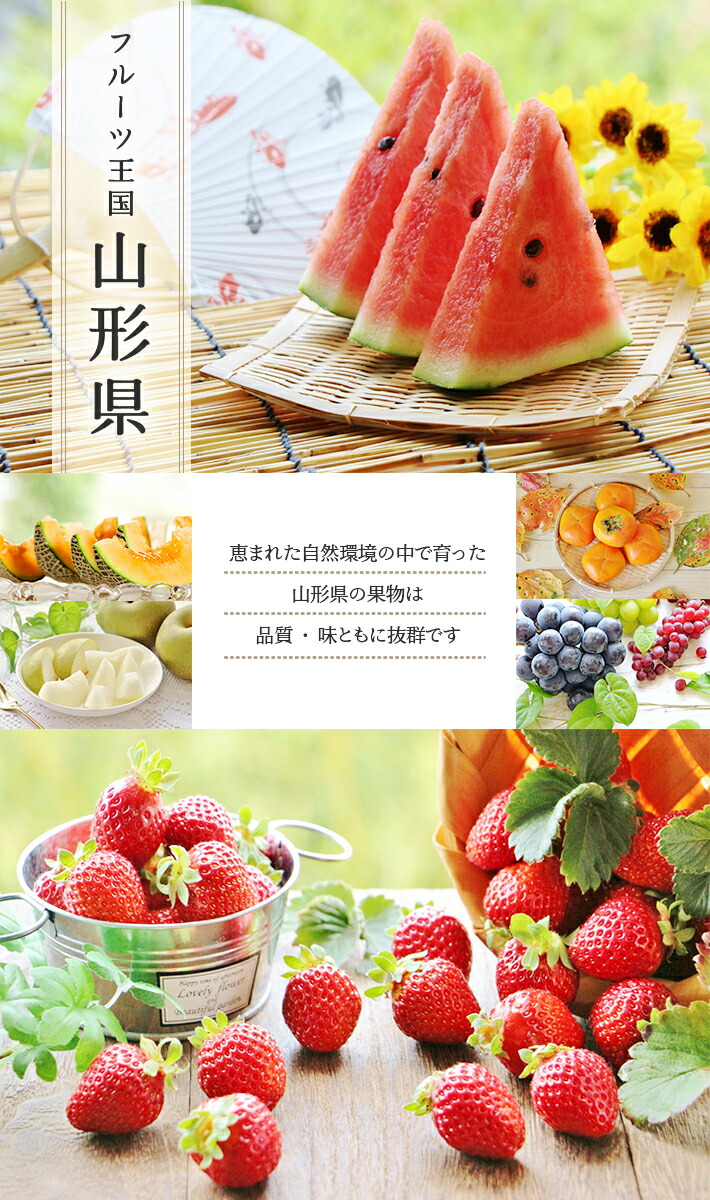 楽天市場】【ふるさと納税】≪3回定期便≫ 美味しい3種の刈屋梨2026 8