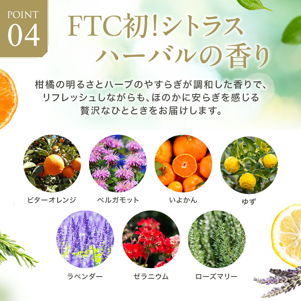 楽天市場】FTC ザ・ブライトチャージ ローション 100ml 君島十和子