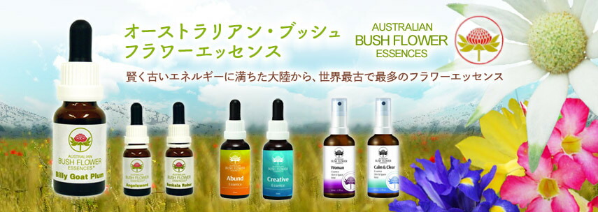 楽天市場】グリーンエッセンス《オーストラリアンブッシュ