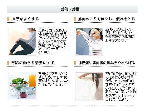 ローズテクニー JNR1003 SGⅡ 西川 ｜岐阜県寝装のわた勇