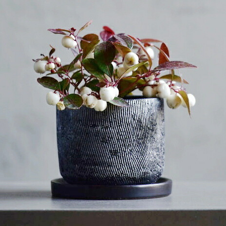 植木鉢 おしゃれ セメント ルシャS (2色) ＜ 10.6cm 3.5号 穴あり 白