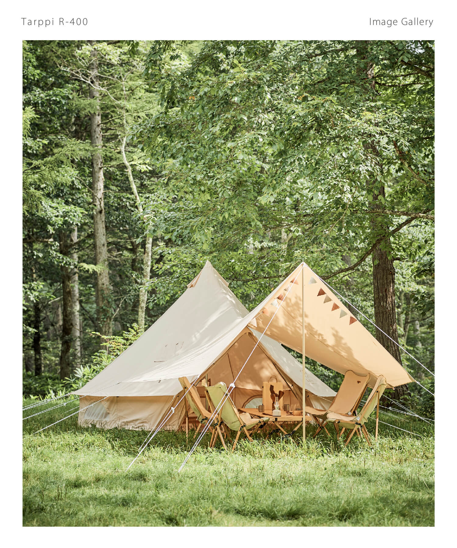 楽天市場】【S'more /Tarppi R-400】 タープテント スモア タープ