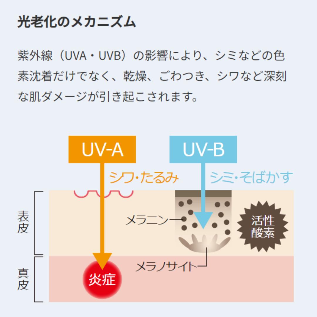 楽天市場】【最短翌日配送可】ドクターセレクト サンシェイドUV 30