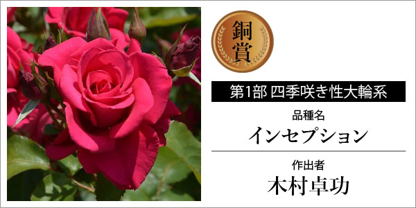 バラの家 公式本店 ロサオリエンティス【バラ苗 専門店】 日本ばら会