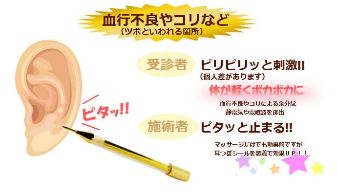 楽天市場】送料無料 耳つぼの探索ならお任せ DAスティックエナジー