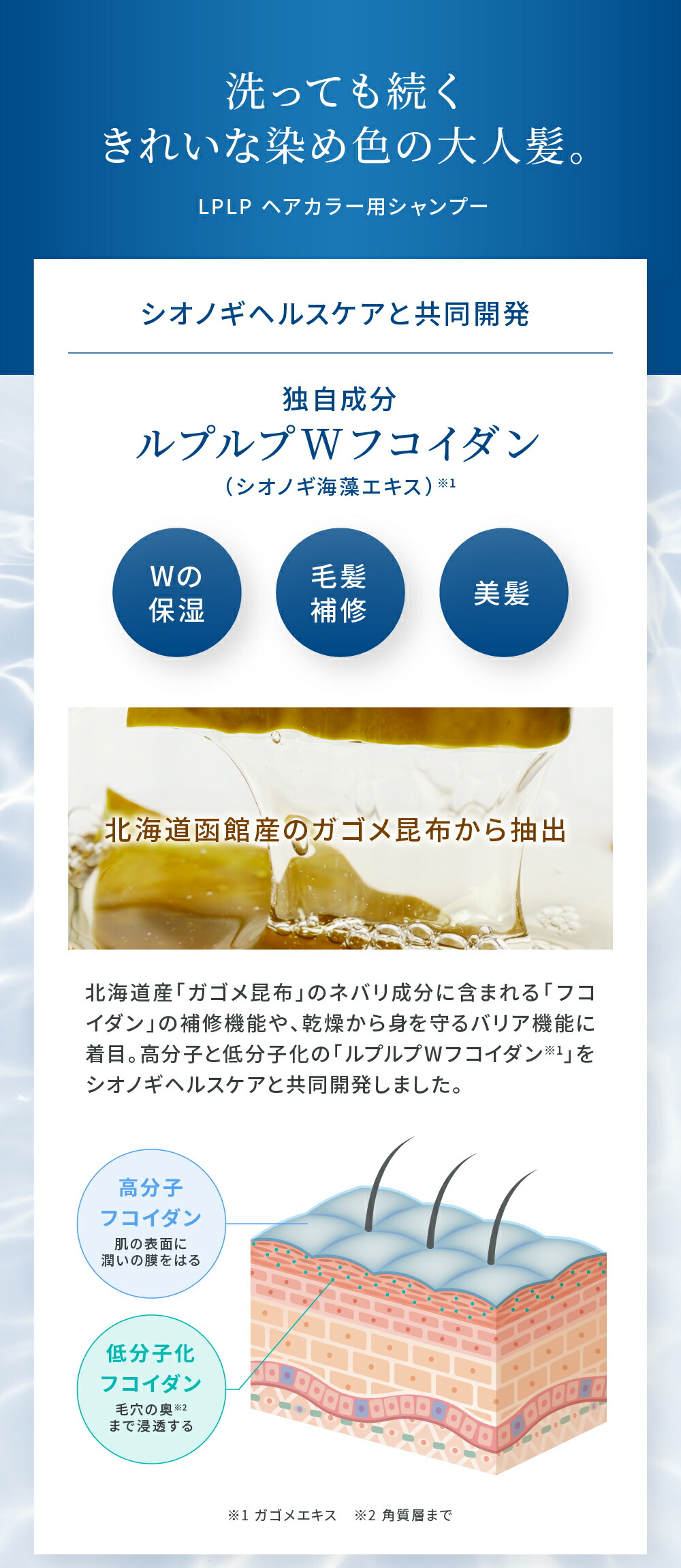 楽天市場】【公式】ルプルプ ヘアカラー用シャンプー パウチ 詰め替え