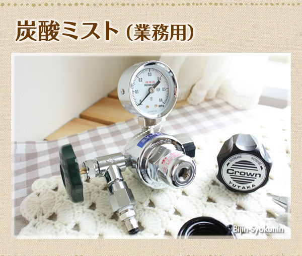 楽天市場】【あす楽】炭酸ミスト 炭酸ミストシャワーをプロユースに