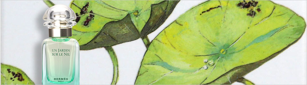 楽天市場】エルメス HERMES モイスチャライジングボディローション