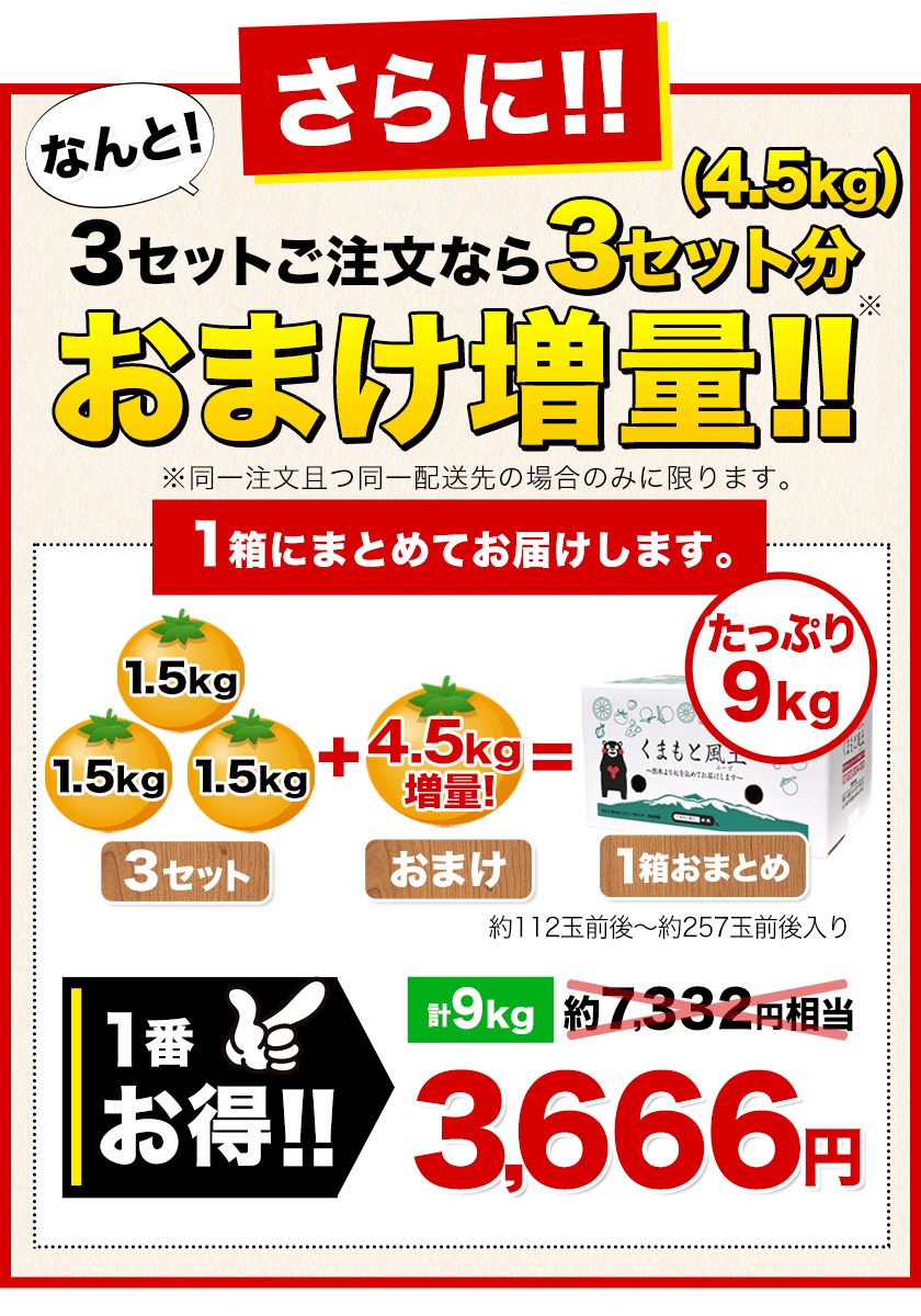 訳あり熊本みかん 1.5㎏ 送料無料 熊本 ミカン 果物 柑橘《7-14営業日