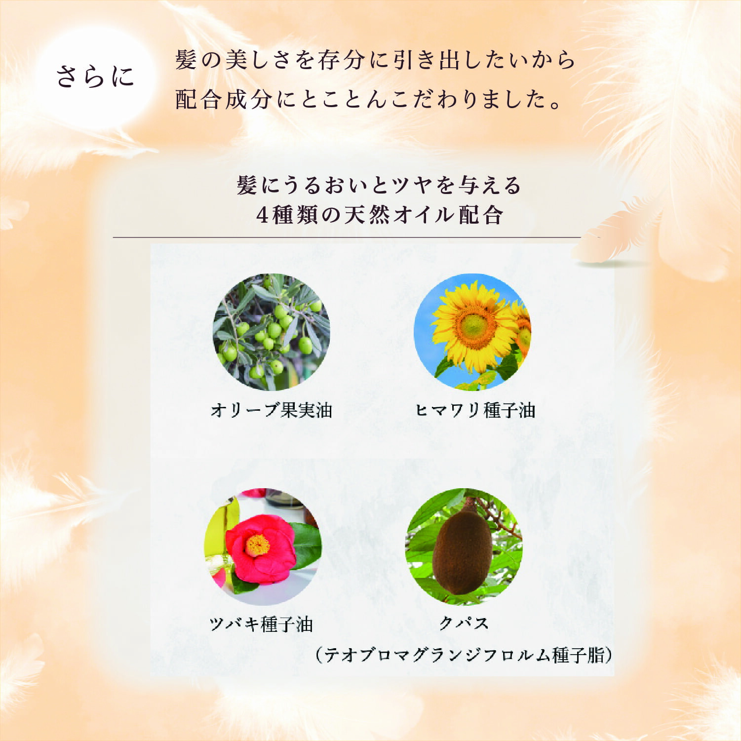 楽天市場】公式 セットで25%OFF 【 KYOGOKU シグネチャーシャンプー